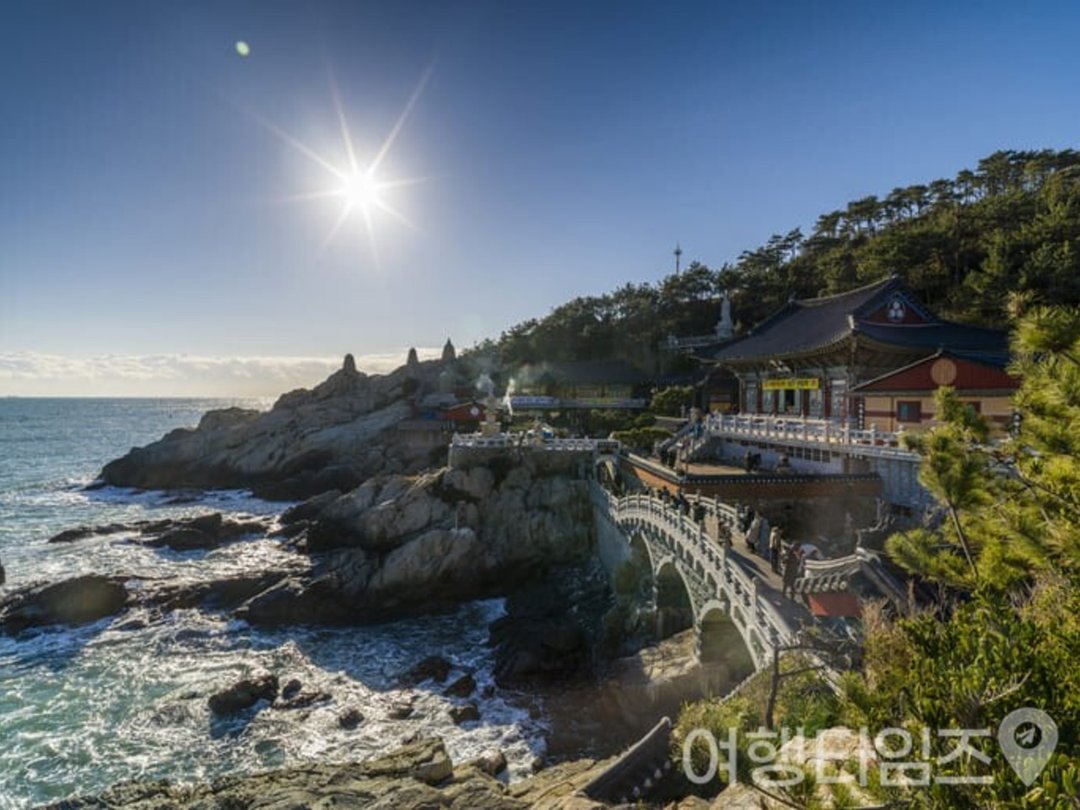 "현지인들도 새해 소원을 빌러 옵니다" 부산 사람들도 새해면 꼭 찾는 새해 일출 명소