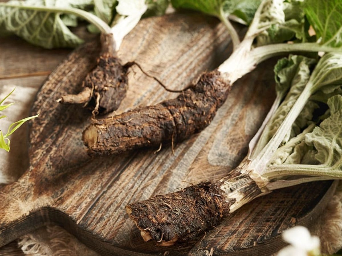 겨울이 더 맛있다<br>영양 꽉 찬 뿌리채소 4