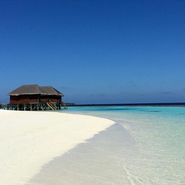 사라지기 전에 꼭 가봐야 할 그 곳, 몰디브(Maldives)