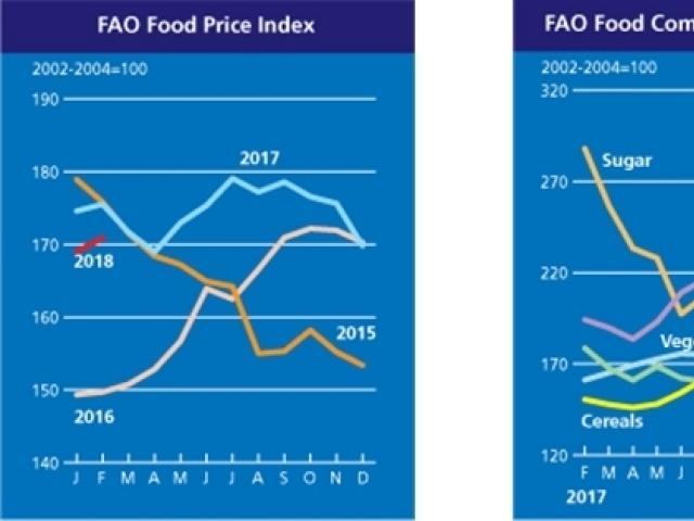 지난달 세계식량가격지수 소폭 상승…곡물 가격 12%↑