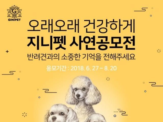 ‘홍삼, 강아지 건강에 효과’ <strong>지니</strong>펫, 면역력 입증 이벤트