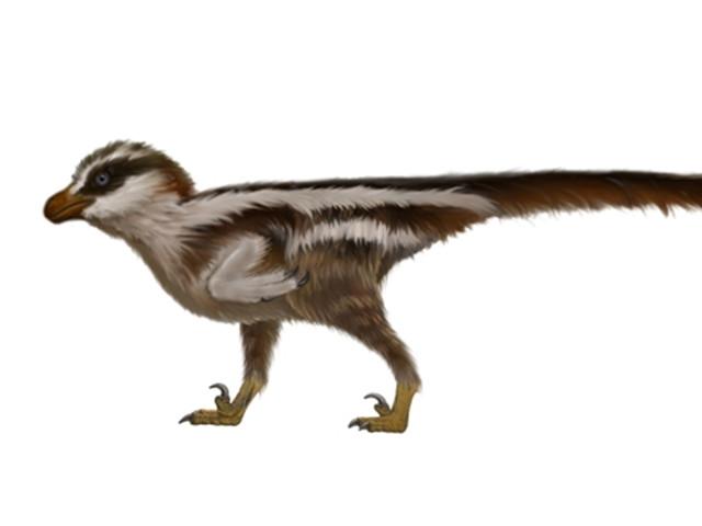 진주서 발견 1㎝ 랩터 공룡발자국 화석…세계 최소 인정