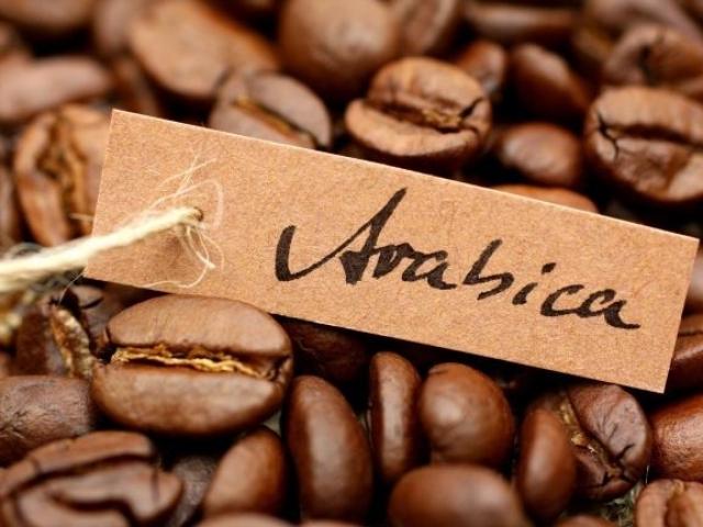 멸종 위기 놓인 아라비카는 어떤 커피일까?