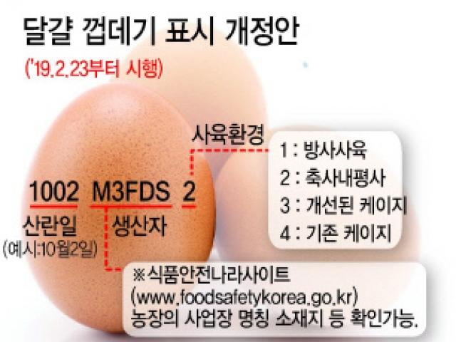 23일부터 산란일 표시제 시행…오래된 달걀 유통 차단한다