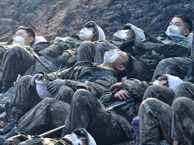 육군, '강원 산불 투입' 장병 사진 공개…네티즌 비판 '봇물'