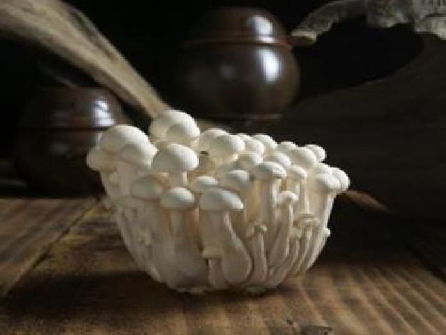 이것은 느타리인가, 팽이인가…팔방미인 ‘느티만가닥버섯’