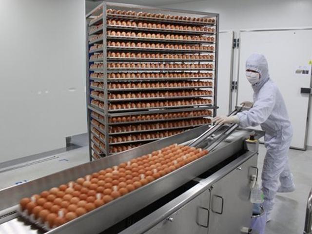 [단독]독감 바이러스 품은 계란…10일 뒤, 2억명을 구했다