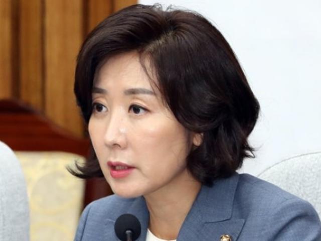 이번엔 “나경원 자녀의혹”.. 조국 지지 네티즌 ‘실검 장외 여론전’