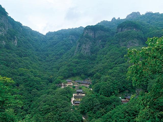 청량한 산길을 걷다- 청량산 청량사 淸凉寺