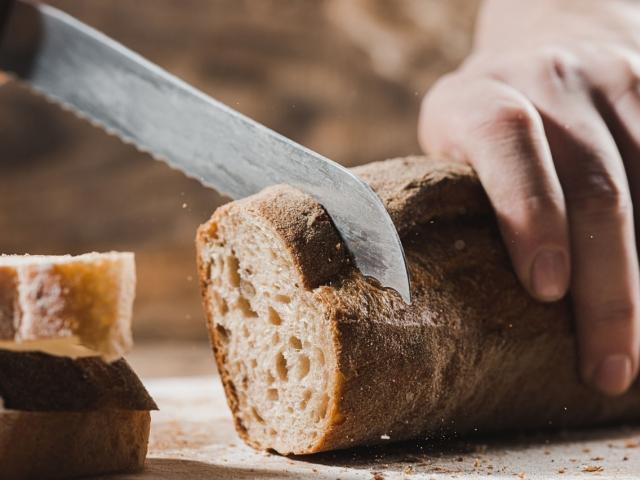 먹다남은 파스타·빵 껍질…신소재 단백질로 재탄생