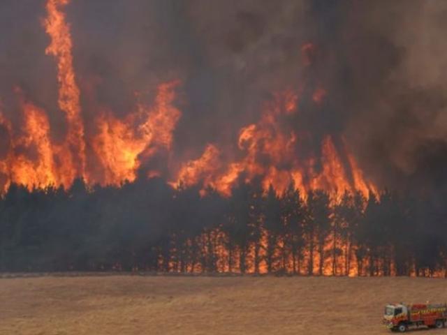 4개월째 불타는 호주에 단비…<strong>집중호우</strong>로 산사태 위험도