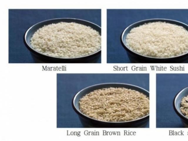 뉴저지주에서 한국식 농법으로 쌀 재배중