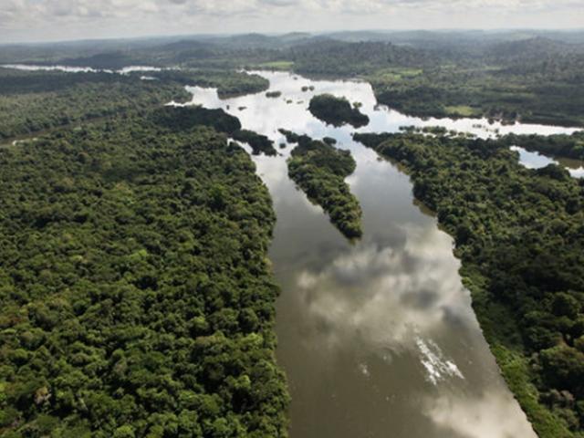 아마존 정글서 실종된 엄마와 삼남매, 열매 먹으며 34일 버텨