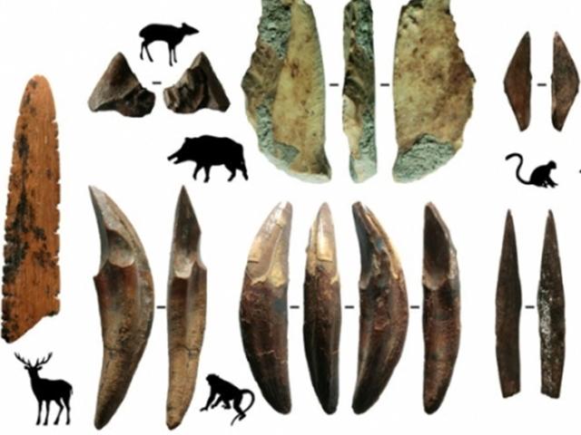 4만8000년 전 ‘유라시아 대륙 최초의 활·화살’ 발견