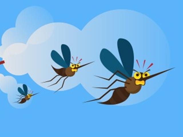 무더운 여름철, 모기·초파리 등 벌레 퇴치법