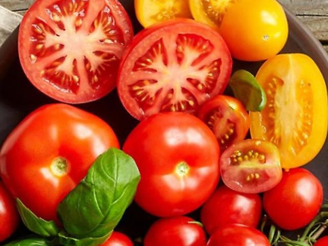 해외에서 검증된 토마토를 가장 맛있게 보관하는 방법