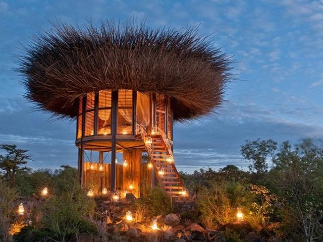 한 번쯤 가보고 싶은 케냐의 '새 둥지 호텔'
