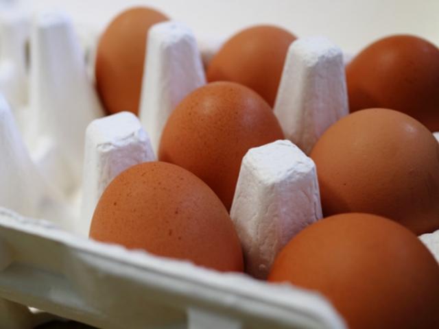 완전식품 ‘달걀’, <strong>냉장고</strong>에 넣기만 하면 끝일까?