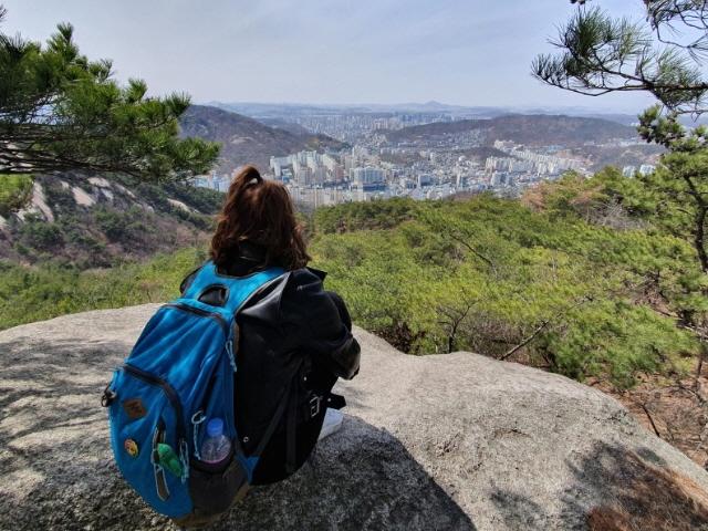 코로나 무릅쓰고 한국 온 프랑스인이 달려간 여행지