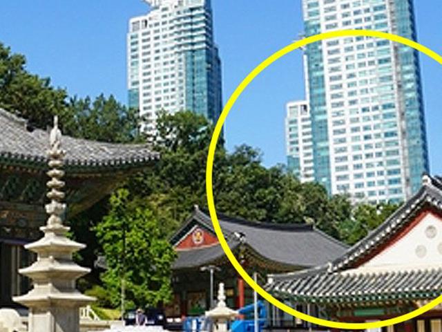 “도심 한복판에…” 외국인이 한국 다니다가 깜짝 놀랐다는 사진 한 장