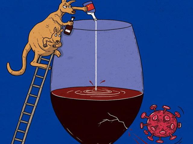 [김성윤의 맛 세상] 바이주까지 섞은 호주 와인, 중국서 눈물 흘리는 이유