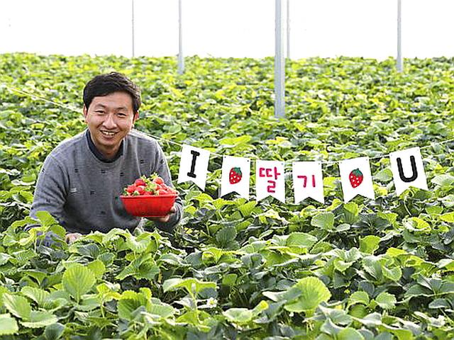 [2030 서울탈출기] ④ 32세 사장님의 딸기농장…이 시국에도 손님 3800명 비결