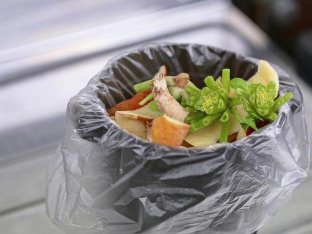 얼린다 vs 건조시킨다, 음식물쓰레기 올바른 처리법