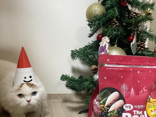 ‘강아지사료도 굿즈 바람’ 하림펫푸드, 크리스마스 에디션 출시