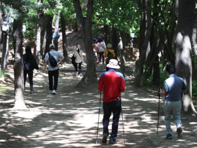 등산·걷기·뛰기·자전거…살빼기·허리둘레 개선 효과 큰 운동은?