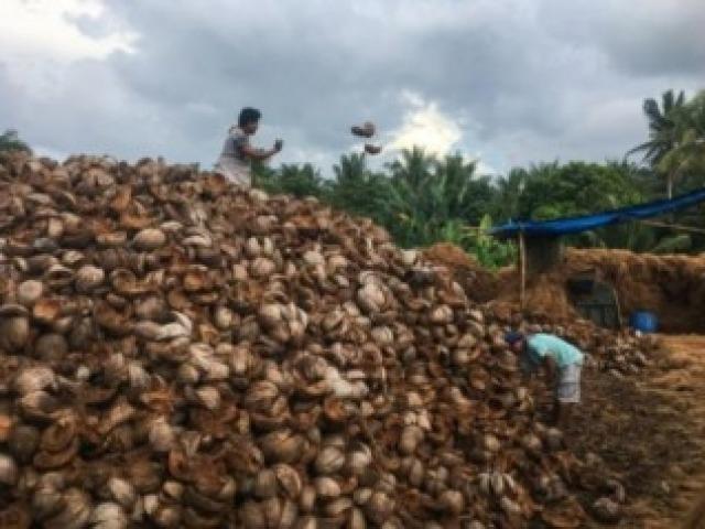 필리핀, 코코넛 <strong>껍질</strong>로 만든 천연섬유 단열재 개발