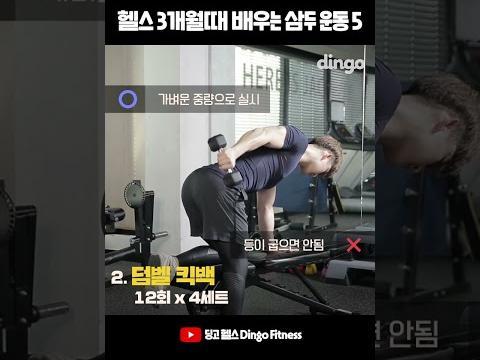 #Shorts <strong>헬스</strong> 3개월때 배우는 삼두 운동 5