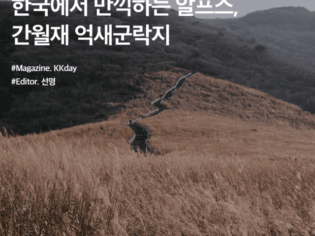 <strong>영남 알프스</strong> :: 한국에서 만끽하는 알프스, 간월재 억새군락지