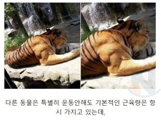 인간이 가진 <strong>개</strong>쩌는 S급 능력...ㄷㄷㄷ