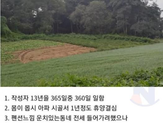 시골 귀촌한지 1년<strong>만</strong>에 뼈저리게 후회하는 청년,,,